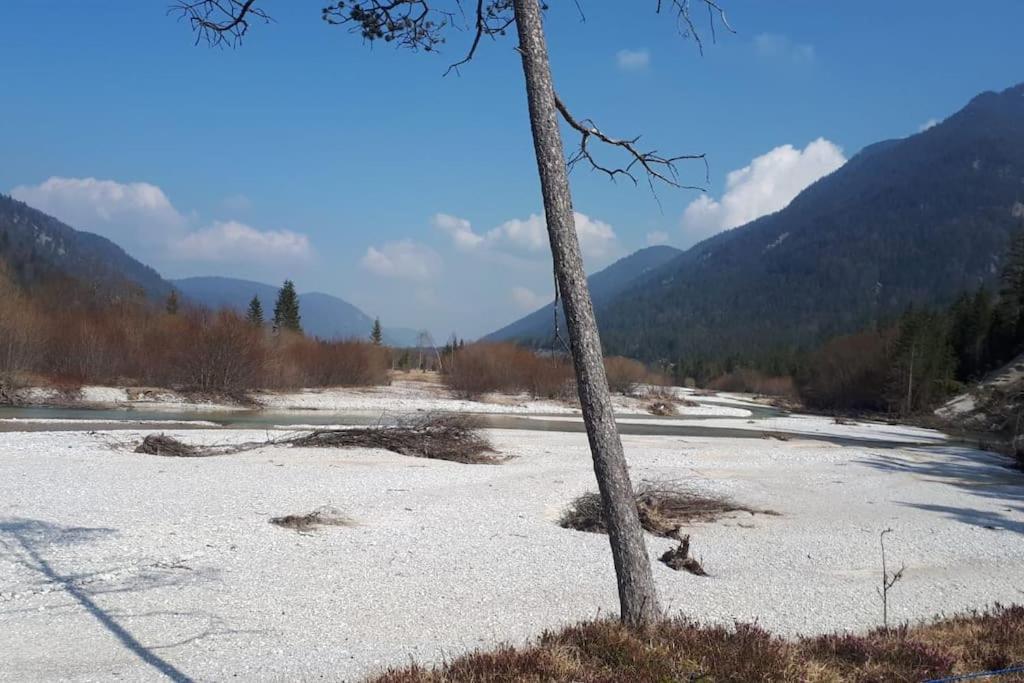 Haus Sunnawind Daire Wallgau Dış mekan fotoğraf